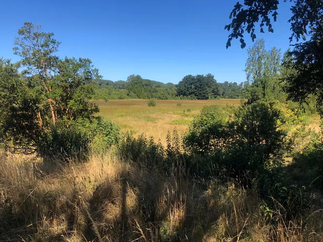 Se venden parcelas 5.000 m² cercano al radio urbano Valdivia