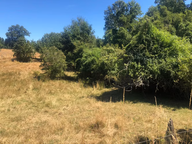 Se venden parcelas 5.000 m² cercano al radio urbano Valdivia