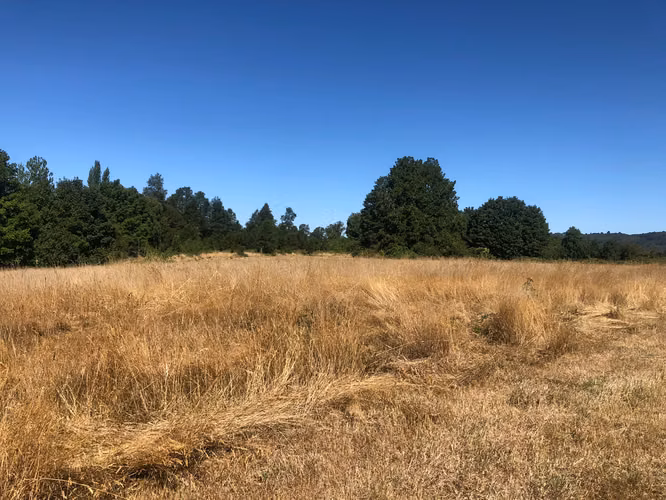 Se venden parcelas 5.000 m² cercano al radio urbano Valdivia