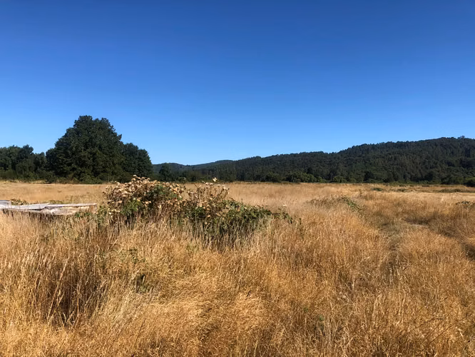 Se venden parcelas 5.000 m² cercano al radio urbano Valdivia