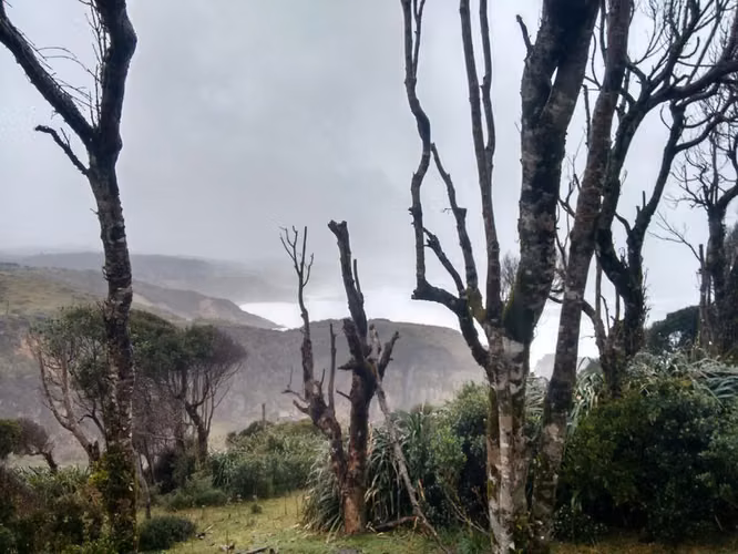 Venta terreno dos hectáreas en Huiro Corral