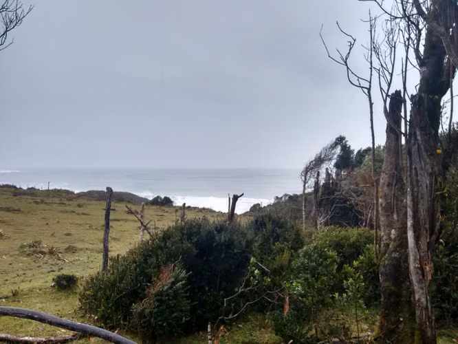 Venta terreno dos hectáreas en Huiro Corral