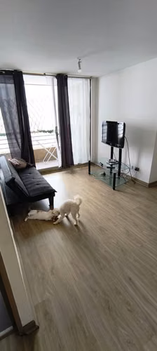 arriendo departamento en gomez carreño