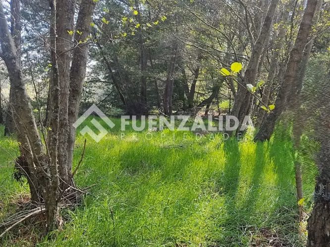 Sitio en venta en Yumbel