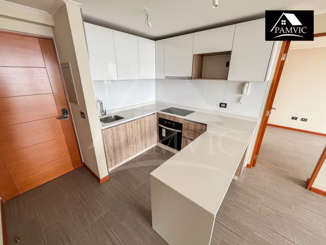 Departamento Tipo Mariposa en Arriendo en Distrito Cavancha 2-