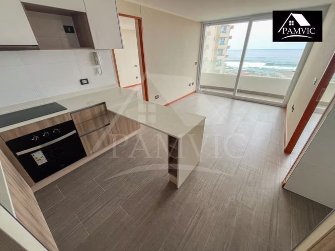 Departamento Tipo Mariposa en Arriendo en Distrito Cavancha 2-
