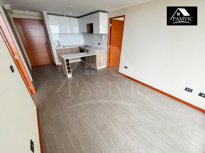Departamento Tipo Mariposa en Arriendo en Distrito Cavancha 2-