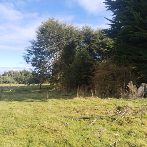 Se vende campo