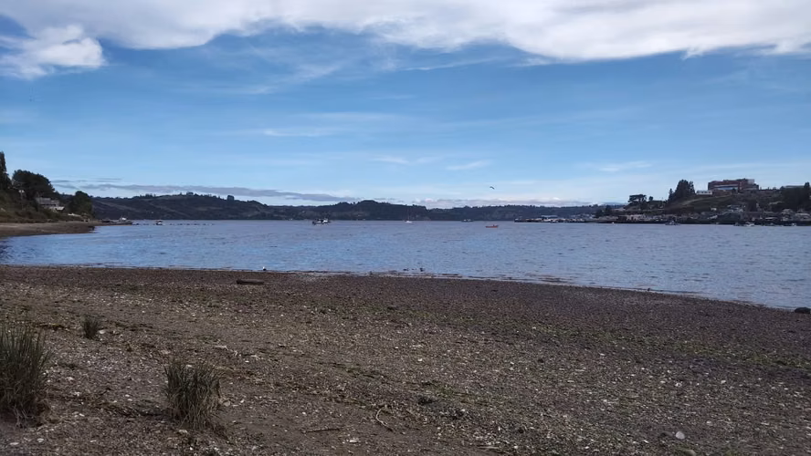 Se vende campo