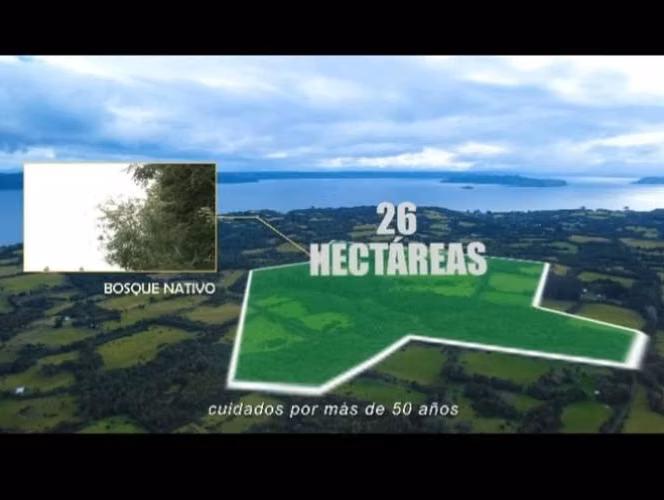 Se vende campo