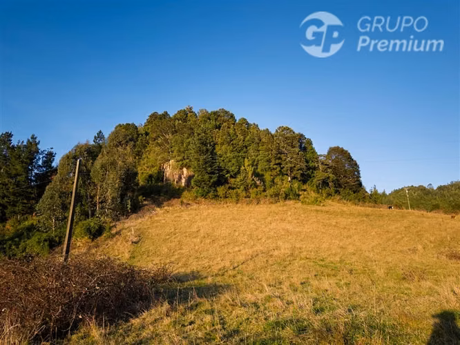 Parcela en venta en Lago Ranco - Imagen 2