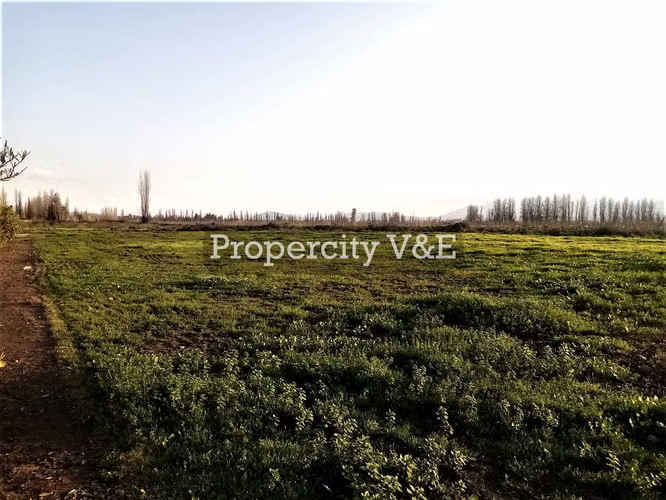 Parcela Liray Santa Matilda (164126)