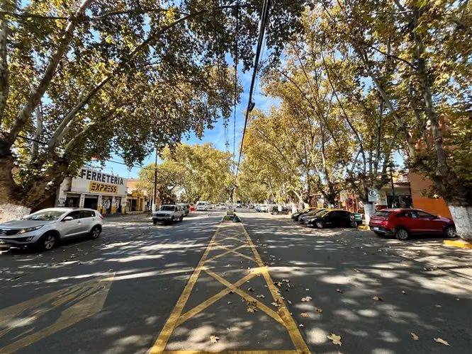 SITIO Calle Olea y Balmaceda