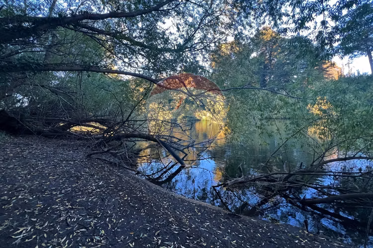 Venta parcela 5.009 m² cercana al río trancura