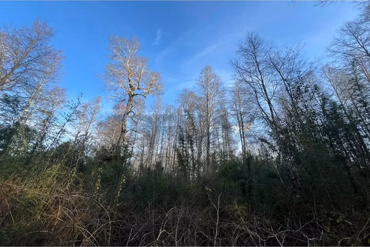 Venta parcela 5.009 m² cercana al río trancura