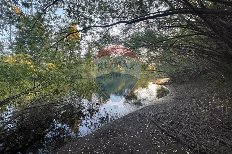 Venta parcela 5.009 m² cercana al río trancura