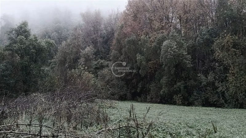 Terreno Construcción en venta en Cisnes