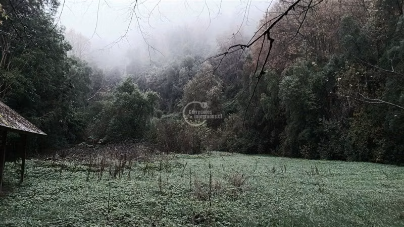 Terreno Construcción en venta en Cisnes