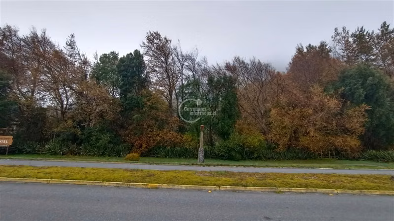 Terreno Construcción en venta en Cisnes