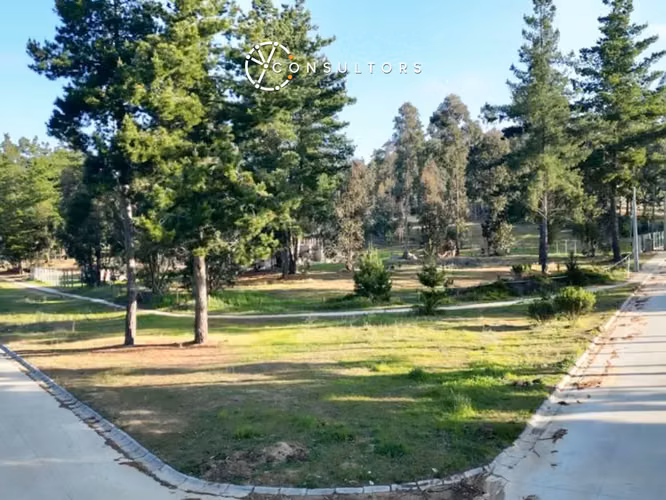 Oportunidad Terreno / Condominio Privado Algarrobo - Imagen 12
