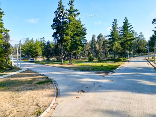 Oportunidad Terreno / Condominio Privado Algarrobo - Imagen 2