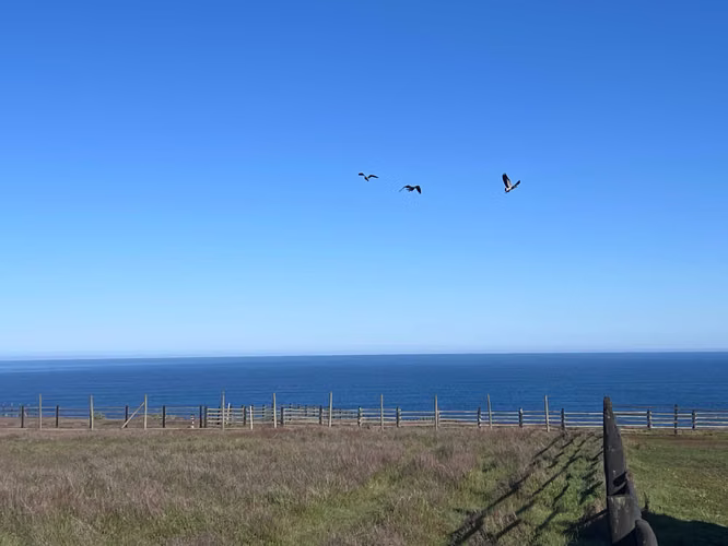 Terreno con acceso a la Playa - 2da Línea (164218)