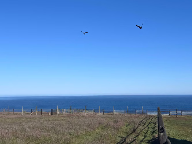 Ubicación Única Segunda Línea y Playa (164218) - Imagen 6