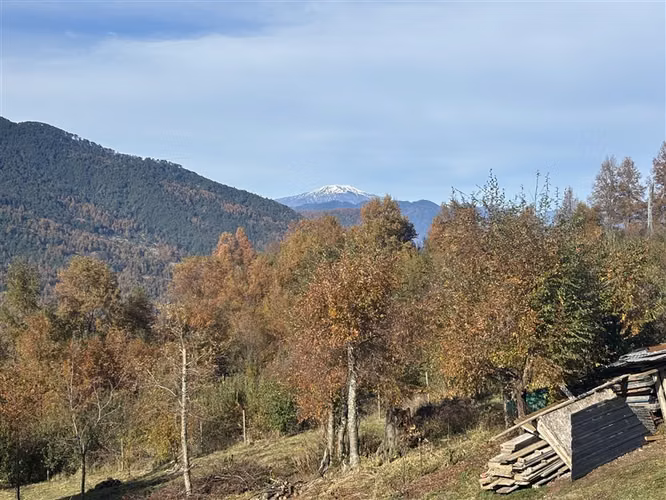 CASA CON VISTA A VOLCÁN Y VALLE EN PUCÓN- LA BARDA
