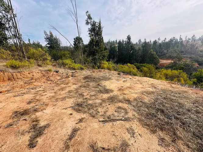 VENTA PARCELA SECTOR TOCORPURI LIMACHE (164248)