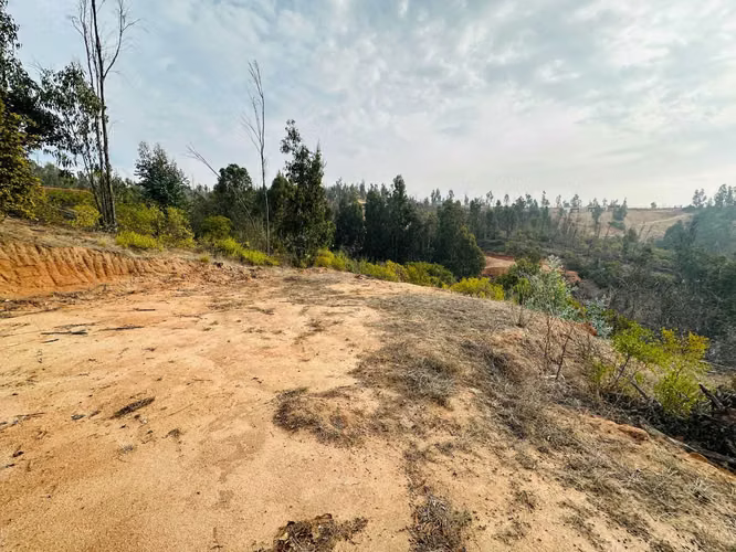 VENTA PARCELA SECTOR TOCORPURI LIMACHE (164248)