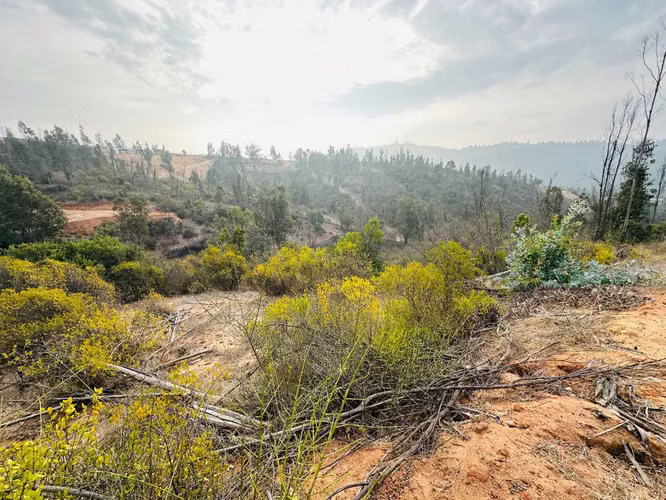 VENTA PARCELA SECTOR TOCORPURI LIMACHE (164248)