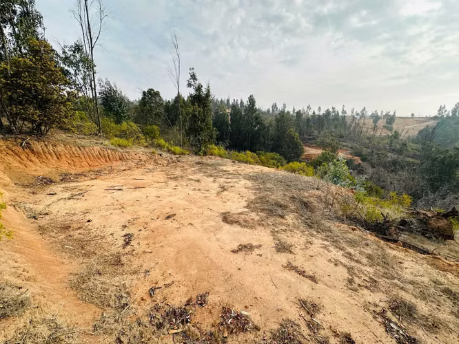 VENTA PARCELA SECTOR TOCORPURI LIMACHE (164248)