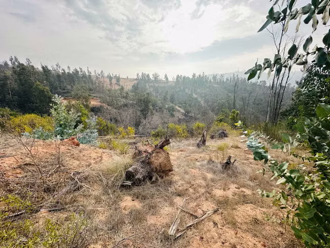 VENTA PARCELA SECTOR TOCORPURI LIMACHE (164248)