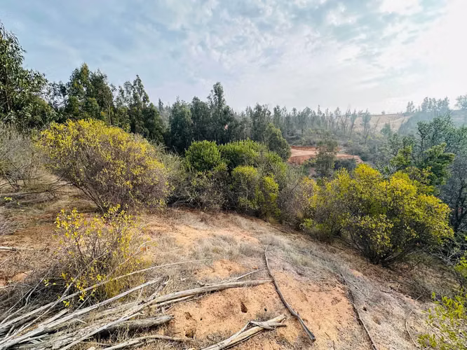 VENTA PARCELA SECTOR TOCORPURI LIMACHE (164248)