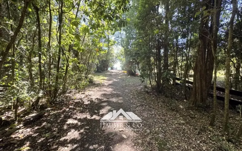 Parcela con acceso a lago Calafquén Comuna Panguipulli