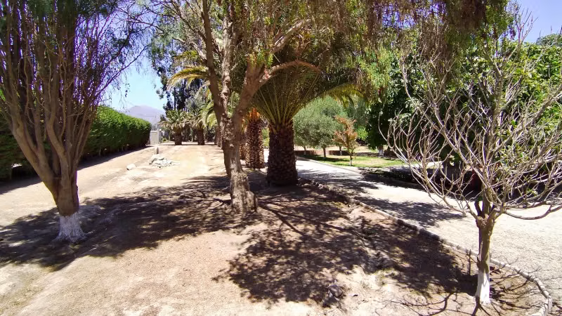 Hermosa propiedad en Marquesa, Valle del Elqui