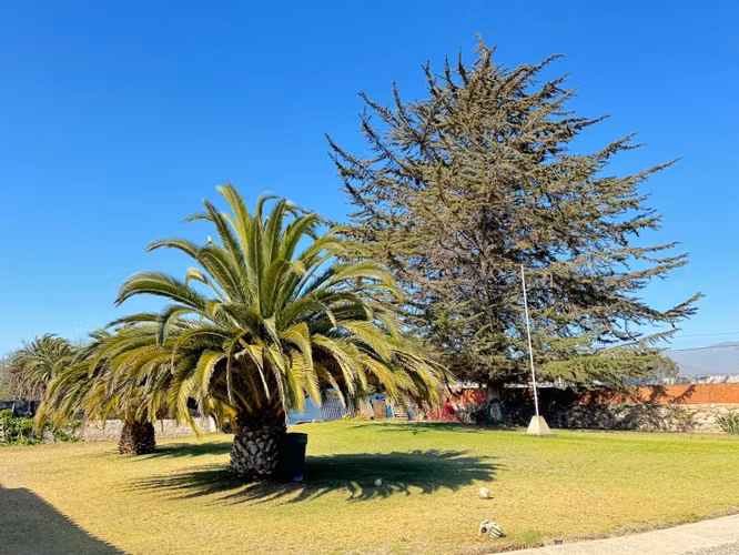 Preciosa Casa con Quincho y Árboles Frutales