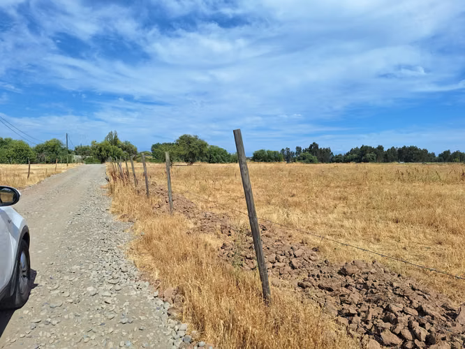 VENDO PARCELA DE 5250 METROS CUADRADOS EN MAULE