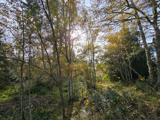 Se vende exclusiva parcela sector Chancoyan Alto