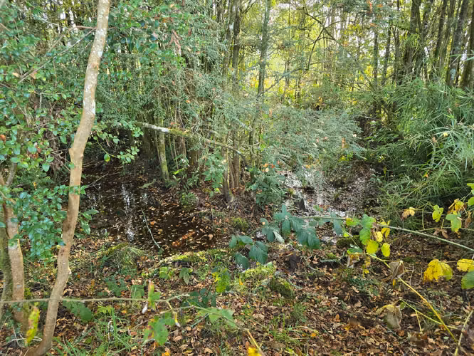 Se vende exclusiva parcela sector Chancoyan Alto