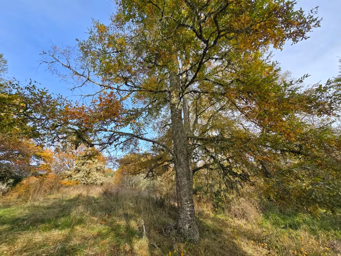 Se vende exclusiva parcela sector Chancoyan Alto