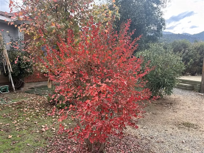 Parcela en venta en Paine