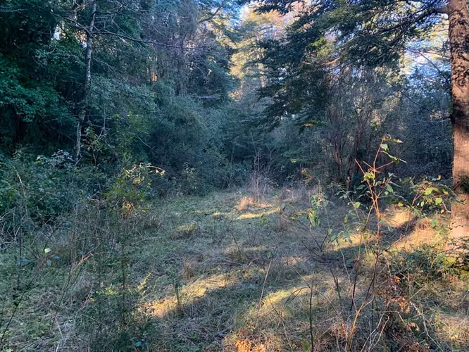 SE VENDE PARCELA RIO FUY PANGUIPULLI