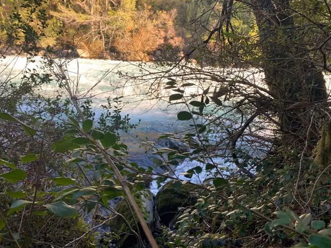 SE VENDE PARCELA RIO FUY PANGUIPULLI