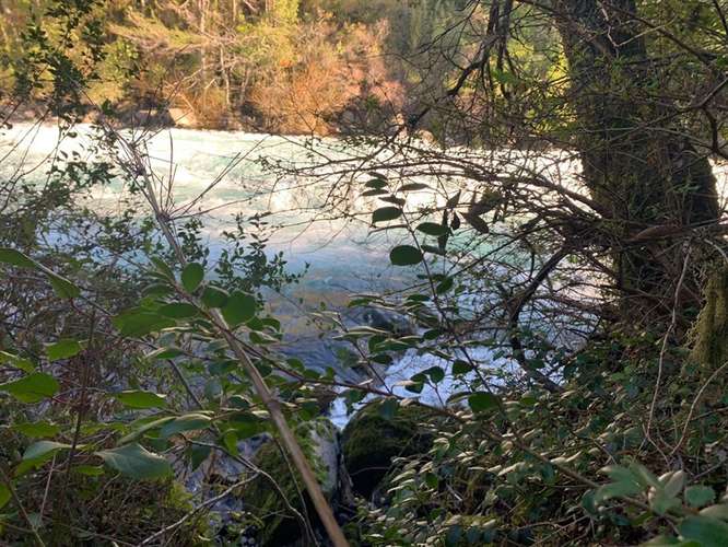 SE VENDE PARCELA RIO FUY PANGUIPULLI