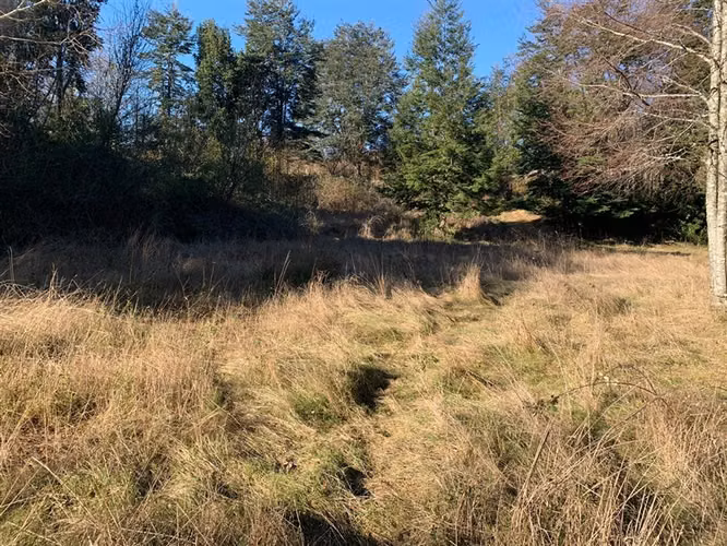 SE VENDE PARCELA RIO FUY PANGUIPULLI