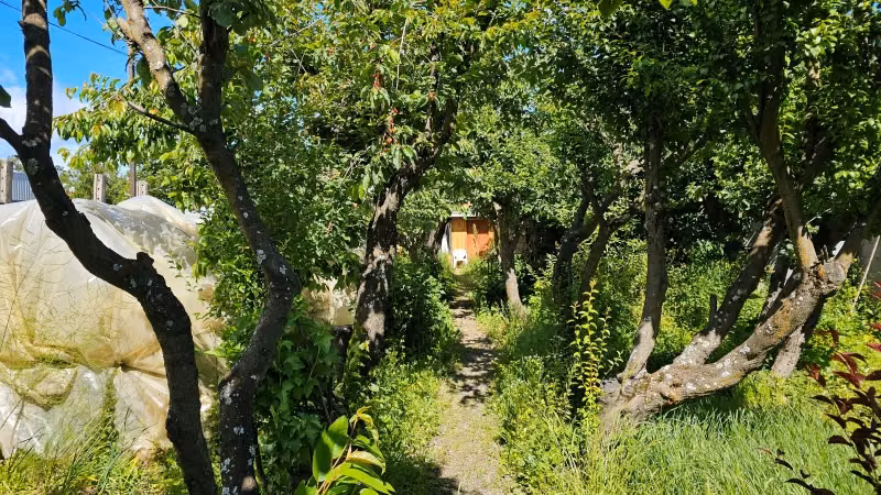 Sitio BAQUEDANO 117 ,COYHAIQUE