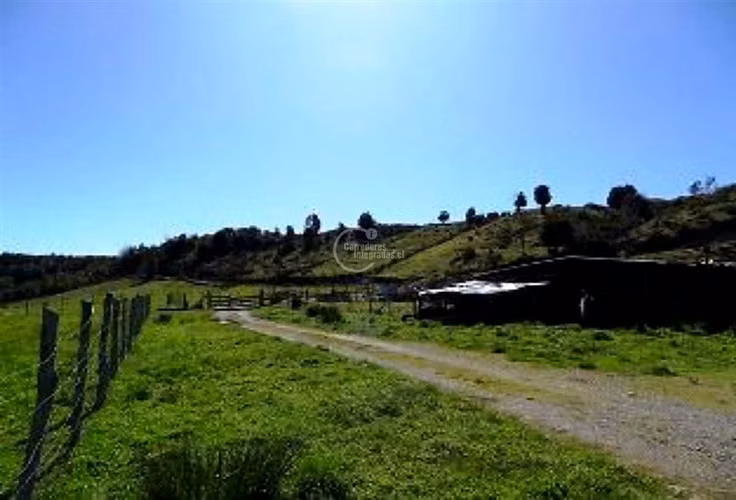 Agrícola en venta en Calbuco