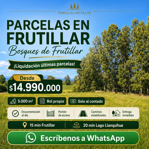 Parcelas en Liquidación en Frutillar oportunidad de inversión
