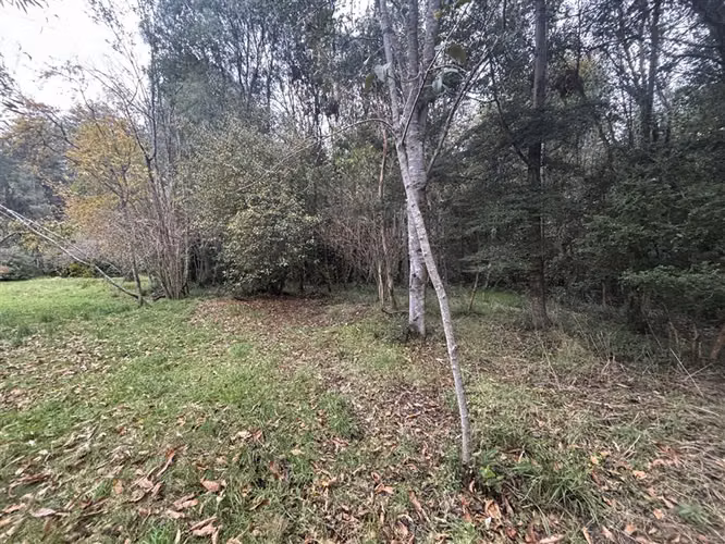 CASA CON ESTERO , BOSQUE Y ARBOLES FRUTALES EN VILLARRICA